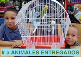 Animales Entregados